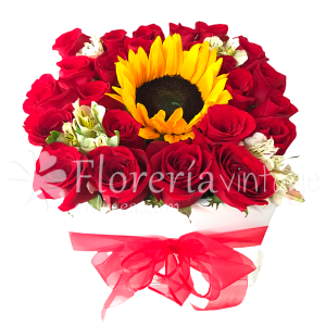 arreglos-florales-a-domicilio-24RRGIR-CAJ-cajas-rosa-y-girasol