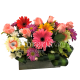 arreglos-florales-a-domicilio-GERROS-B-gerberas-y-rosas