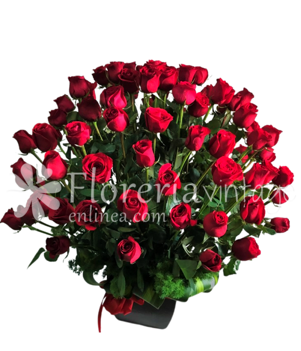 floreria-en-gomez-palacio-50RRCON-BB-50-rosas-contemporaneo