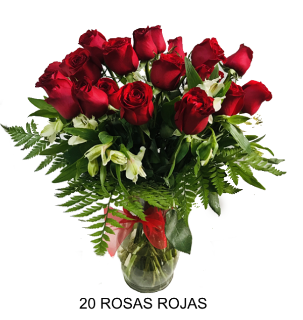 20 ROSAS EN VIDRIO